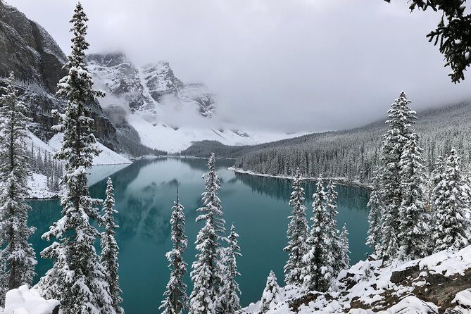 Private Tour of Lake Louise and the Icefield Parkway for up to 12 guests - Icefields Parkway pull-offs: short stops that still hit glacier scale