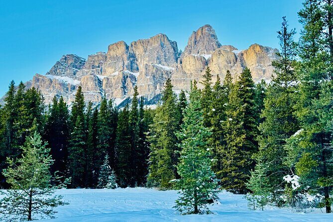 ShuttleBus 2way Banff to Lake Louise (1Hr) and Moraine Lake (1Hr) - Price and value: is $149.45 per person worth it?