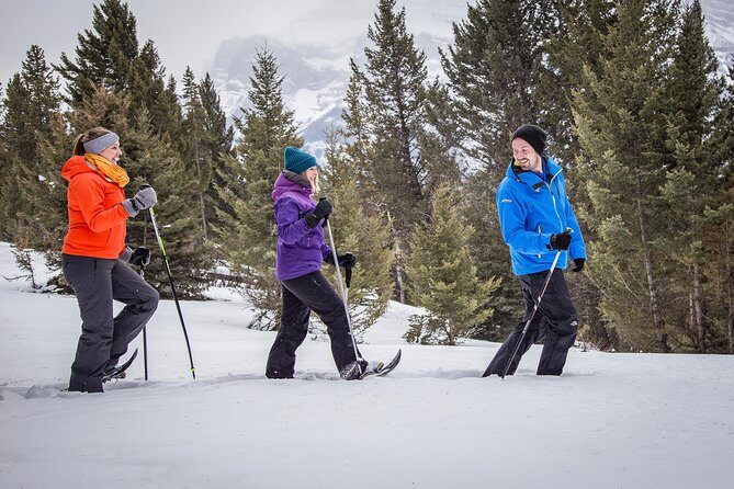Snowshoeing Tour to the Paint Pots - What to Wear: The Winter Gear Checklist That Actually Works