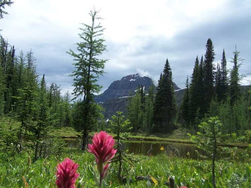 Sunshine Meadows Daily Guided Hike with Gondola - What to bring and how to dress for Sunshine Meadows weather