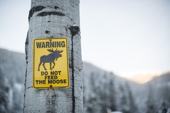 The BANFF NATURE Walk - 2hr Adventure - Wildlife You Might See: Elk, Deer, and Sometimes More