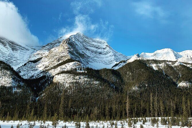 The BANFF NATURE Walk - 2hr Adventure - Gear Support: Poles and Ice Cleats When Conditions Demand It