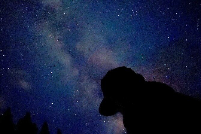 The Banff Stargazing Tour - 2hr Walking Tour - Who this tour is for (and who should skip it)