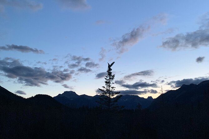 The Banff Stargazing Tour - 2hr Walking Tour - The meeting point: Cave and Basin, free parking, and getting geared up