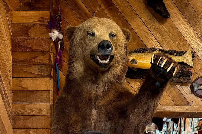 Town of Banff Highlights 2 Hour Walking Tour | Gratuity-Based - Bear Street: Local Tips While You Still Have Momentum