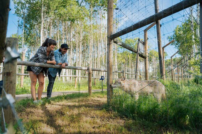 Yamnuska Wolfdog Sanctuary Walk Ticket in Canada - Gift shop souvenirs and how your ticket supports a local charity