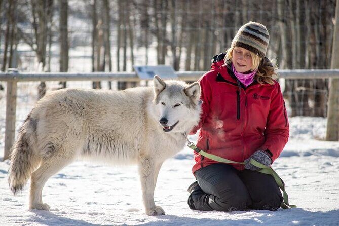 Yamnuska Wolfdog Sanctuary Walk Ticket in Canada - Price and value of $29.27 with GST: what makes it feel worth it